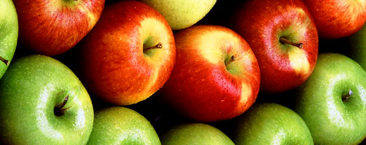 perda-laranja perda-laranja