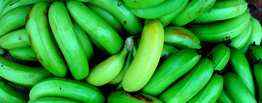 banana-alimento-mundial