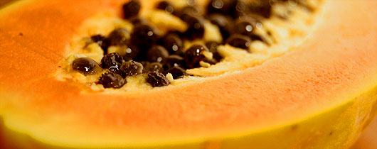 mamao-papaya-preco mamao-papaya-preco