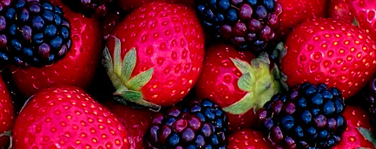 FRUTAS-VERMELHAS-DESTAQUE FRUTAS-VERMELHAS-DESTAQUE