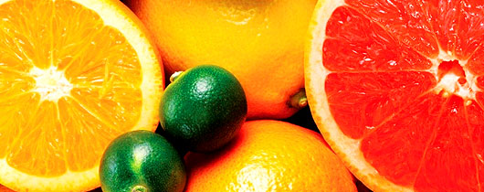 citrus-alta-preco citrus-alta-preco