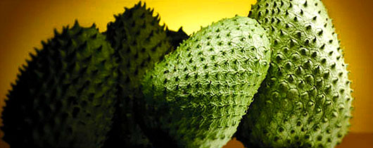 frutas-cerrado frutas-cerrado